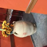Дом отдыха Casavacanza La Regina *